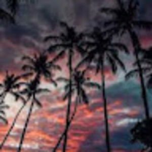 Meet your Posher, Kylee